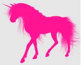   Pink Unicorn